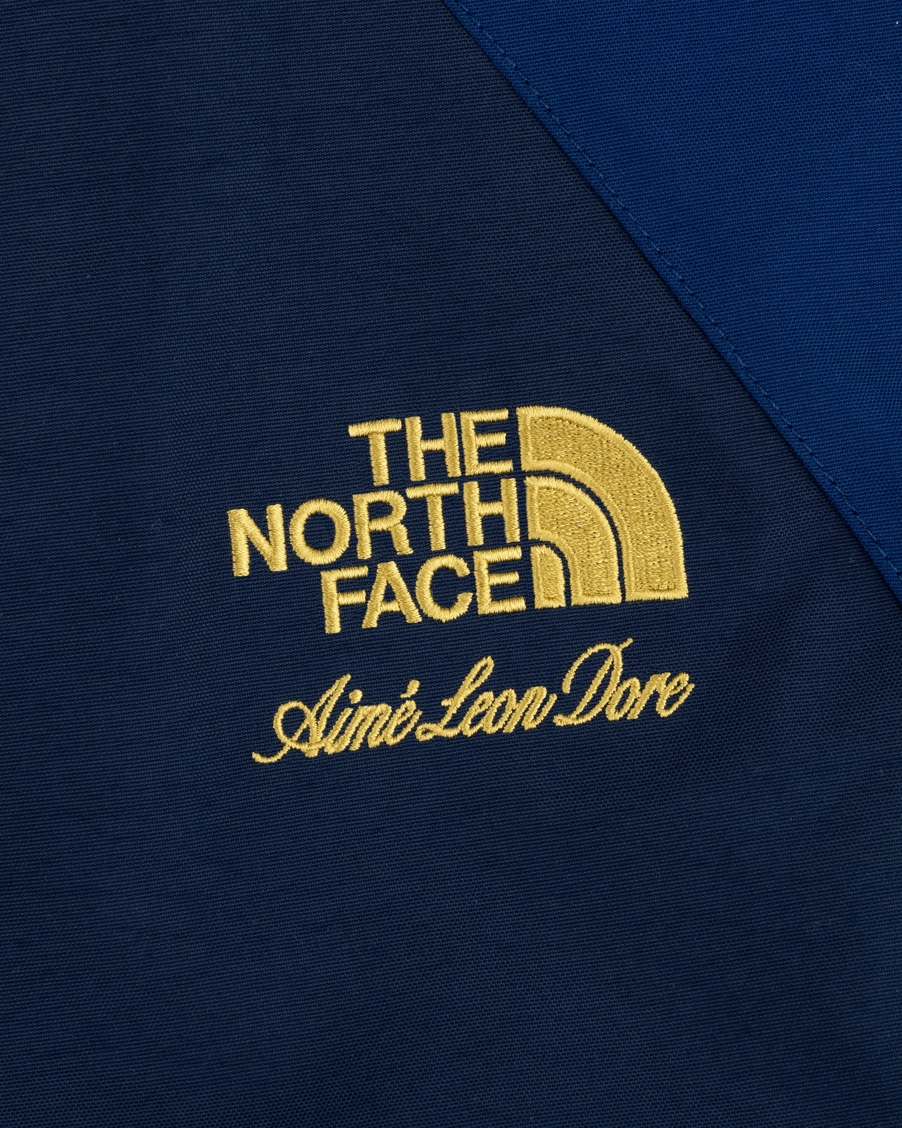 aim-leon-dore-x-the-north-face-gore-tex-2000-mountain-jacket-navy image 6