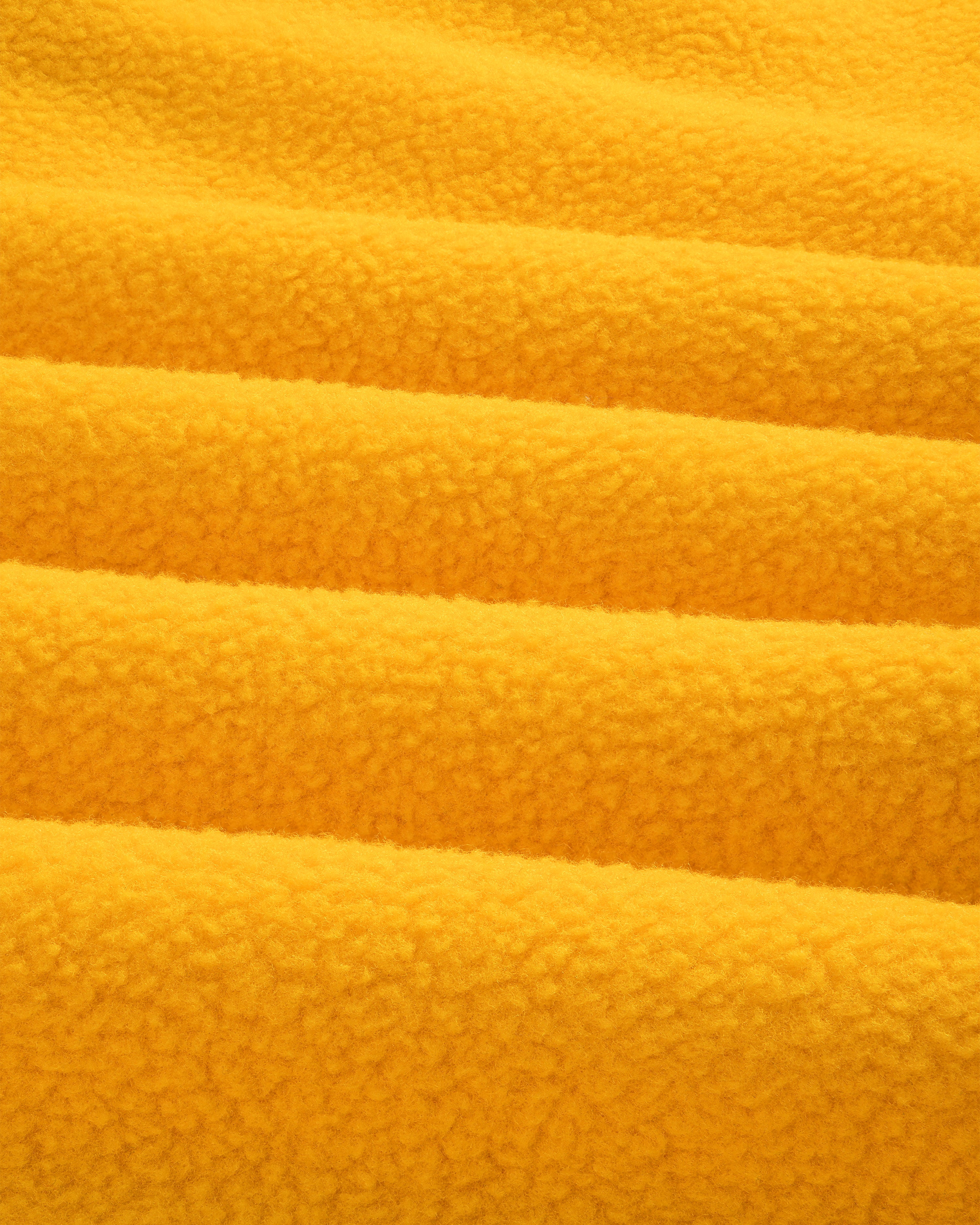 aim-leon-dore-x-the-north-face-fleece-rugby-gold image 5