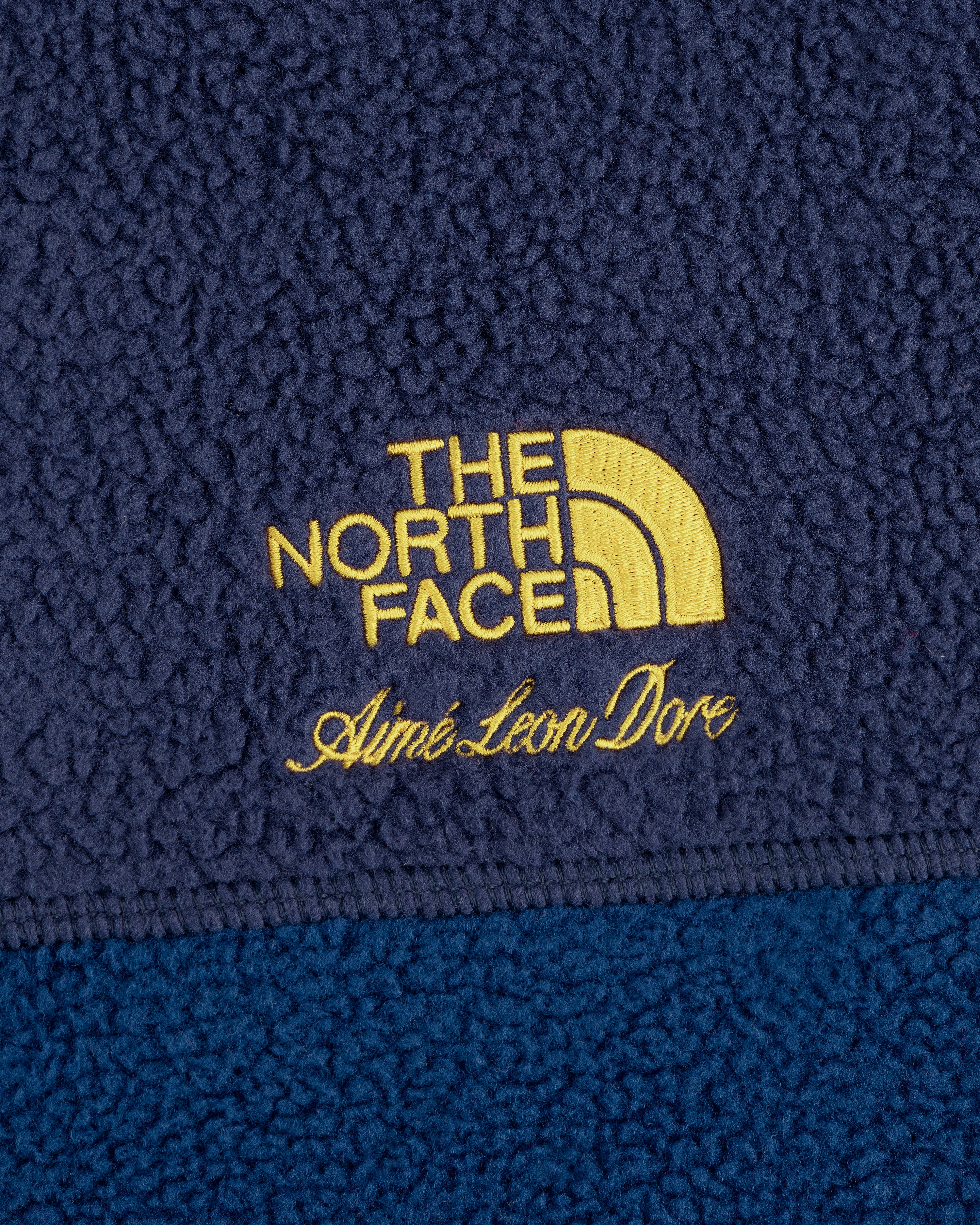 aim-leon-dore-x-the-north-face-95-denali-half-zip-fleece-pullover-blau image 5