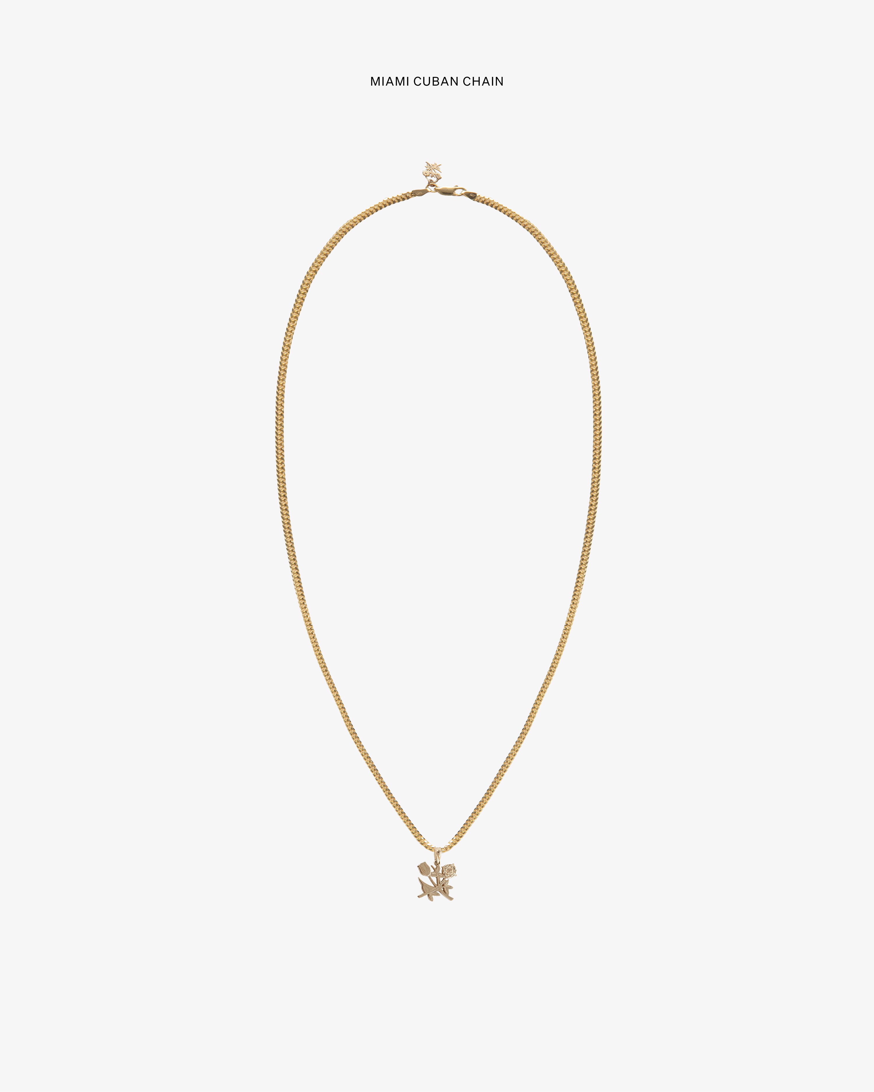 aim-leon-dore-14kt-gold-queens-crest-pendant-anh-nger image 5