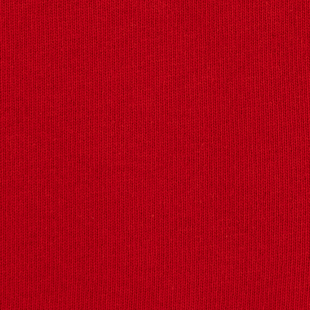 aim-leon-dore-crest-rugby-rot-regular-fit image 6