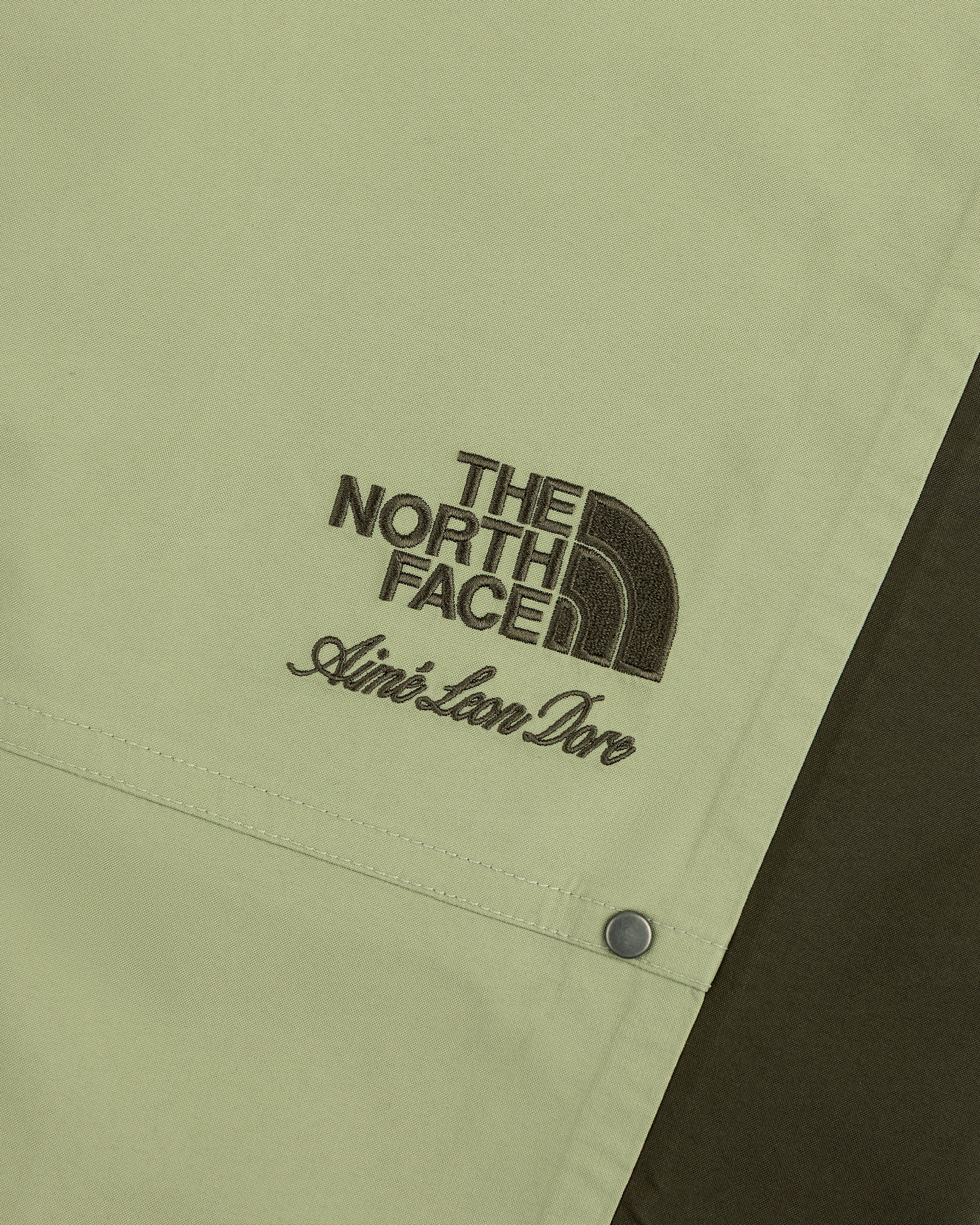 aim-leon-dore-x-the-north-face-gore-tex-pant-gr-n image 6