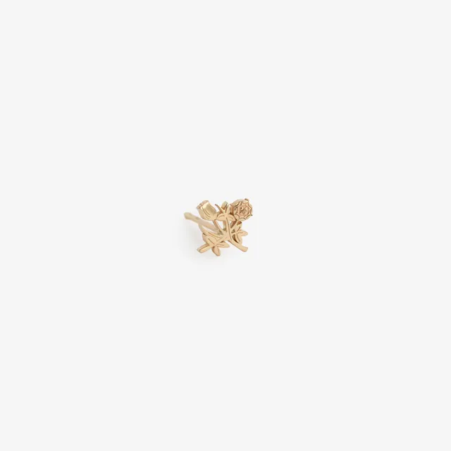 aim-leon-dore-14kt-gold-crest-ohrring image 1