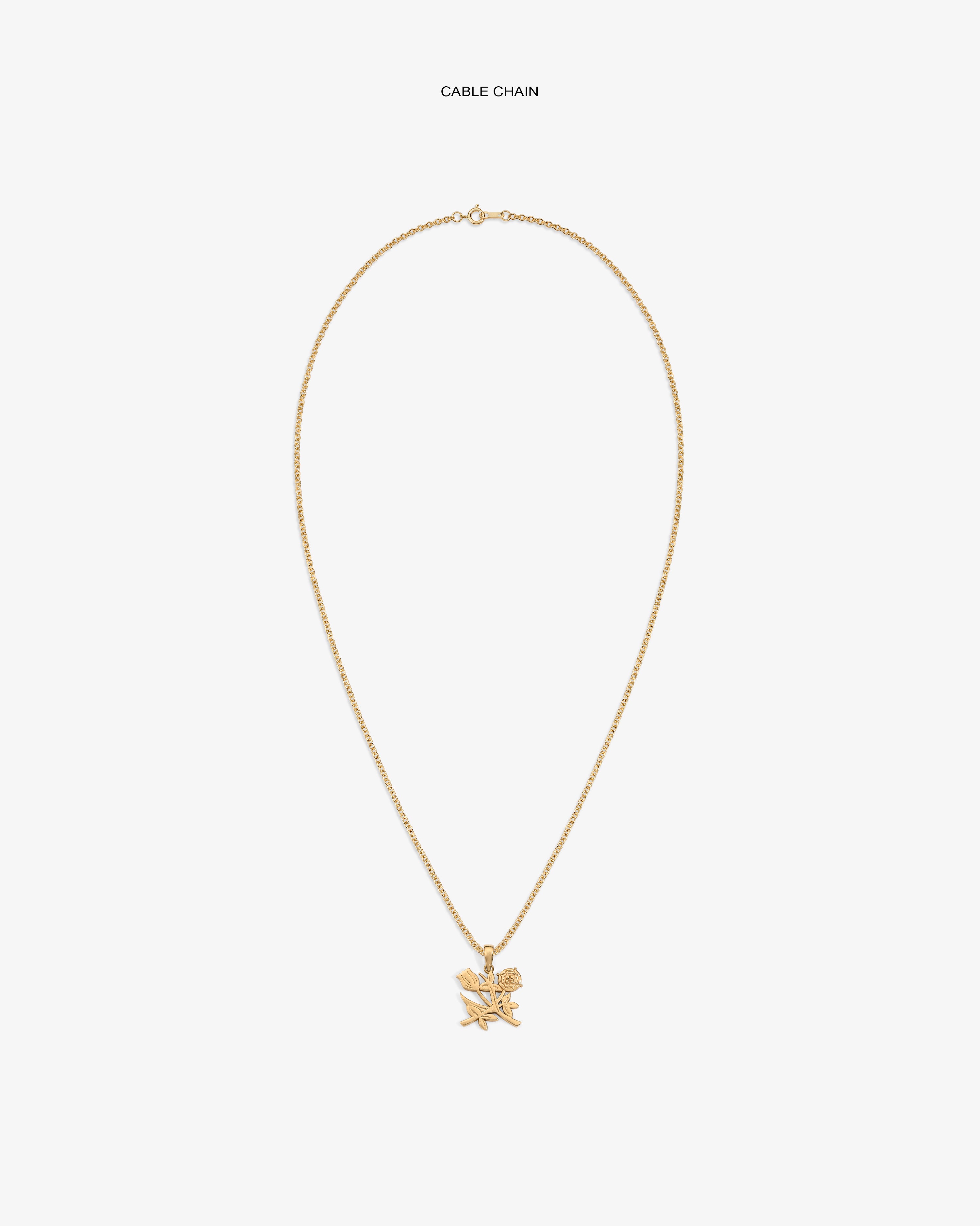 aim-leon-dore-14kt-gold-queens-crest-pendant-anh-nger image 7