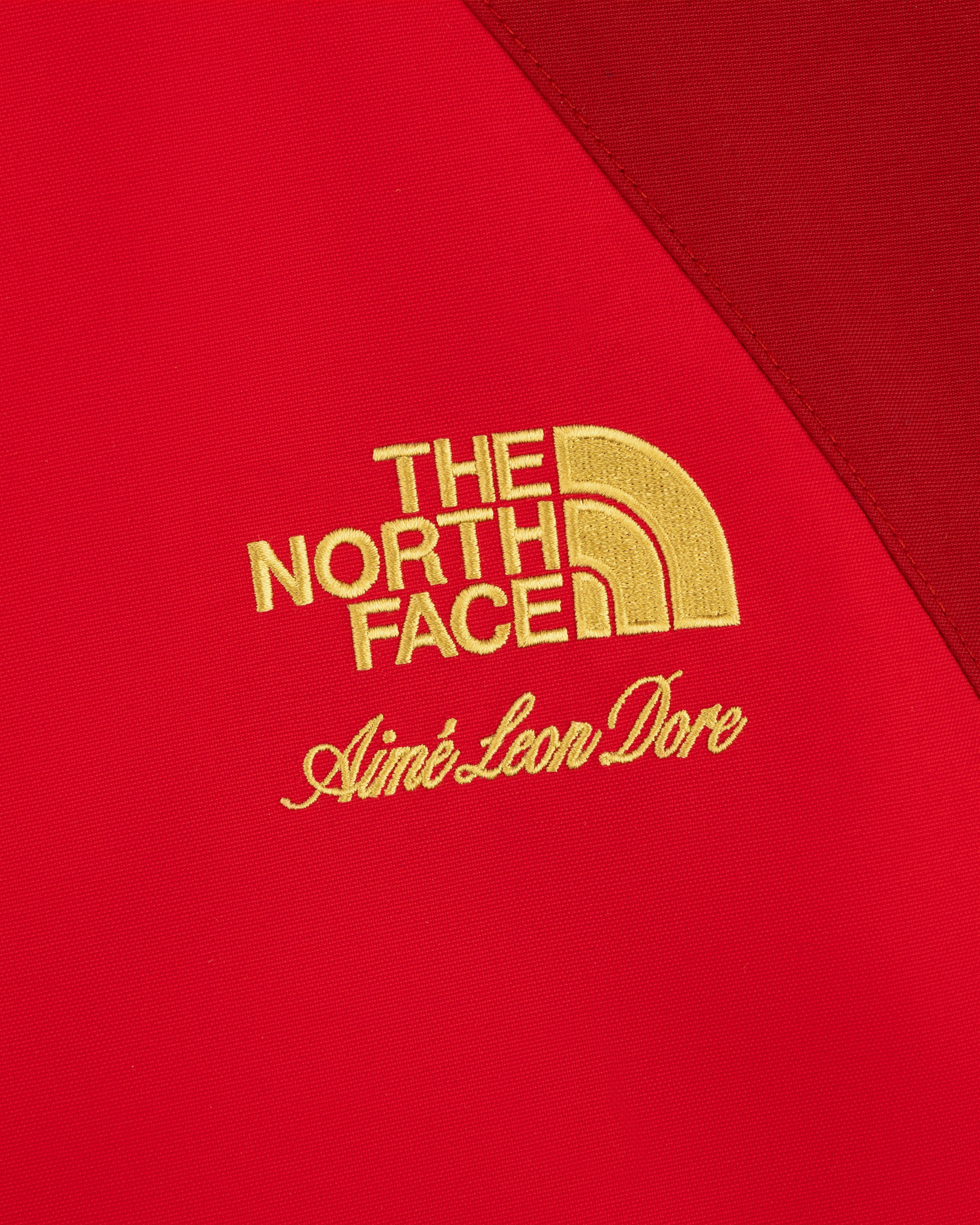 aim-leon-dore-x-the-north-face-gore-tex-2000-mountain-jacket-rot image 7