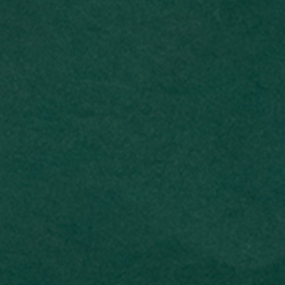 aim-leon-dore-logo-swim-short-gr-n image 5