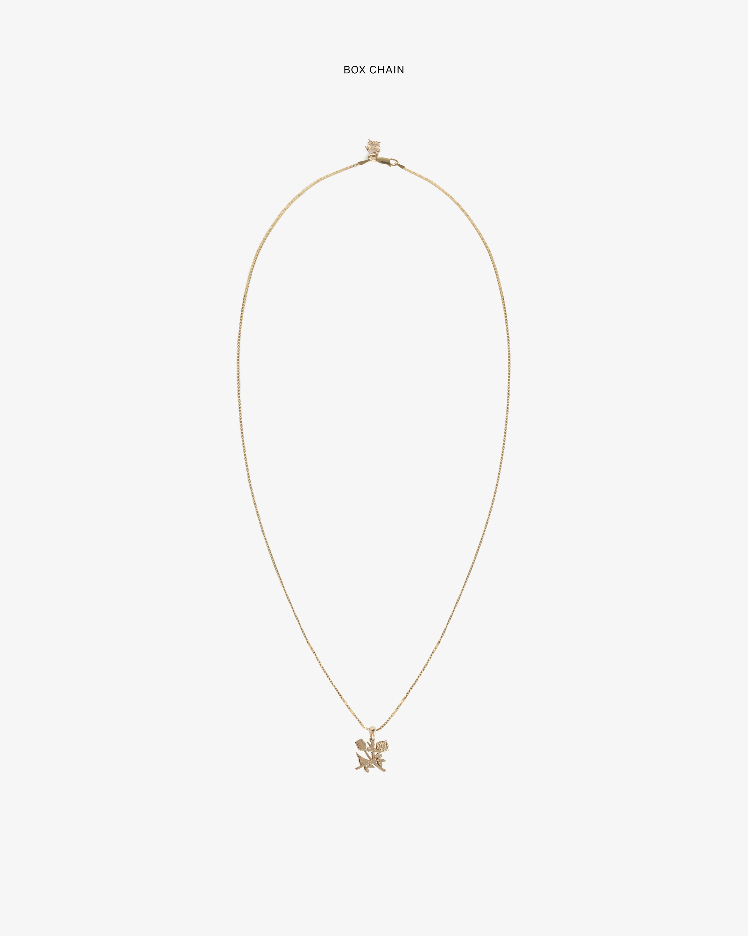 aim-leon-dore-14kt-gold-queens-crest-pendant-anh-nger image 3