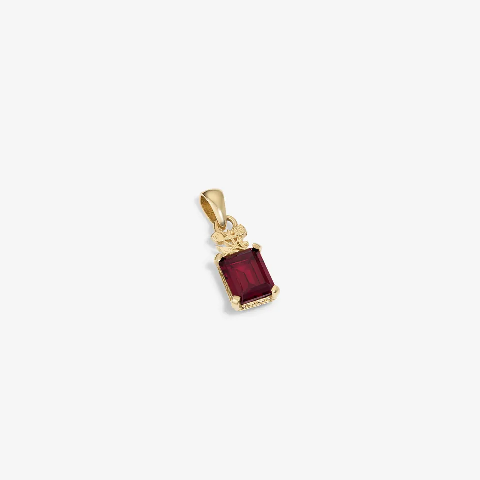 aim-leon-dore-14kt-gold-crest-rubin-anh-nger image 1