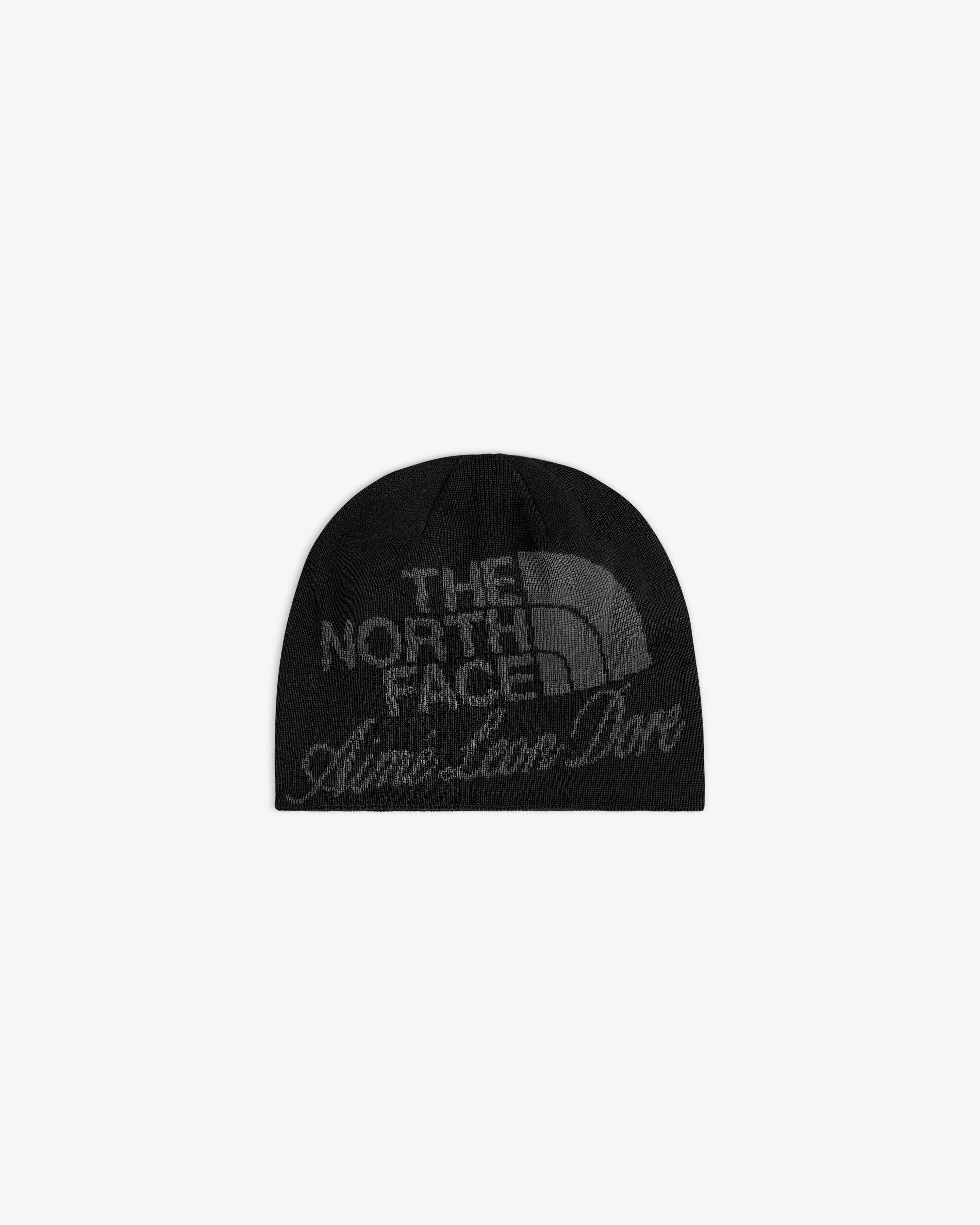 ald-x-the-north-face-jacquard-beanie-schwarz image 2