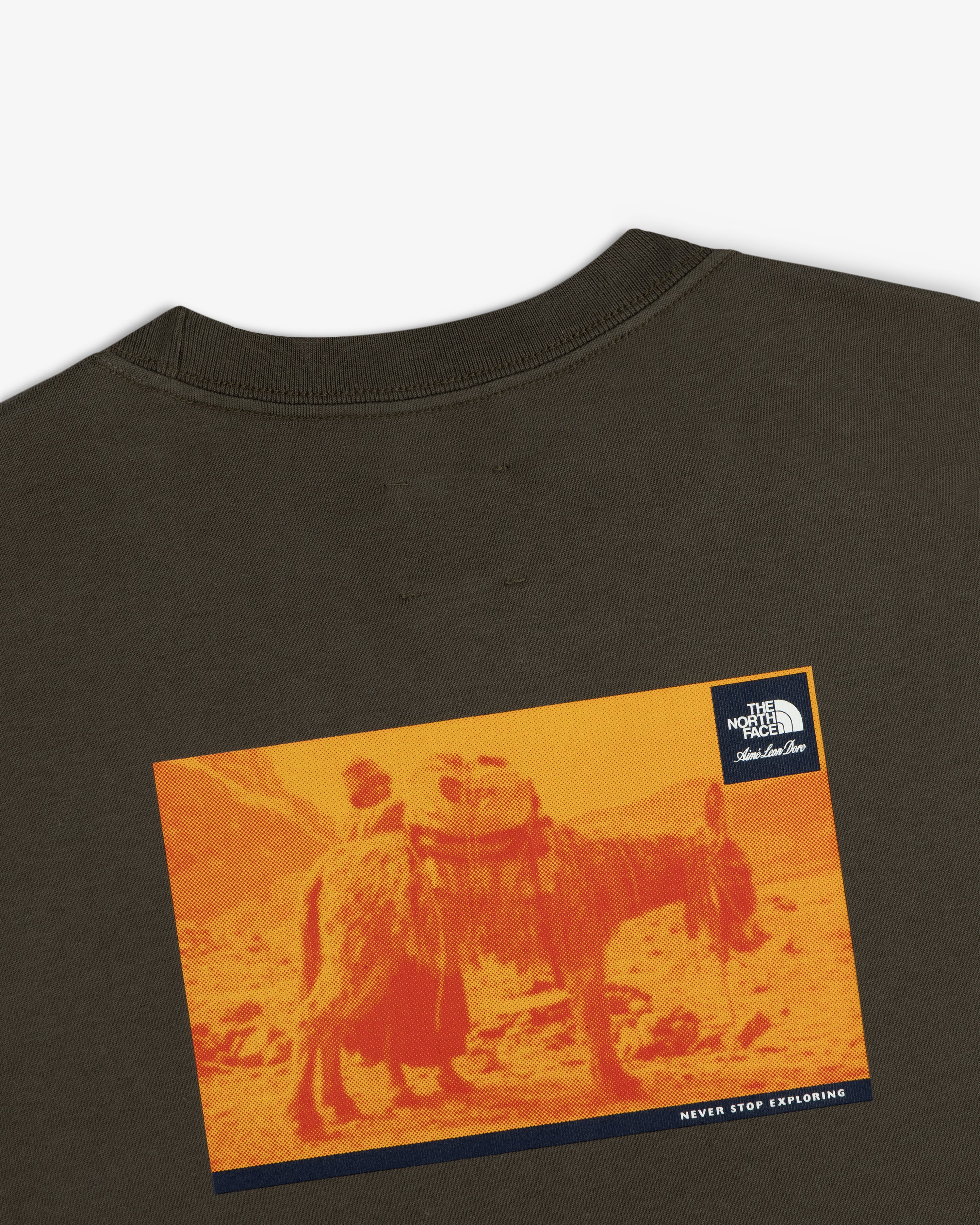 aim-leon-dore-x-the-north-face-explorer-longsleeve-olive image 4