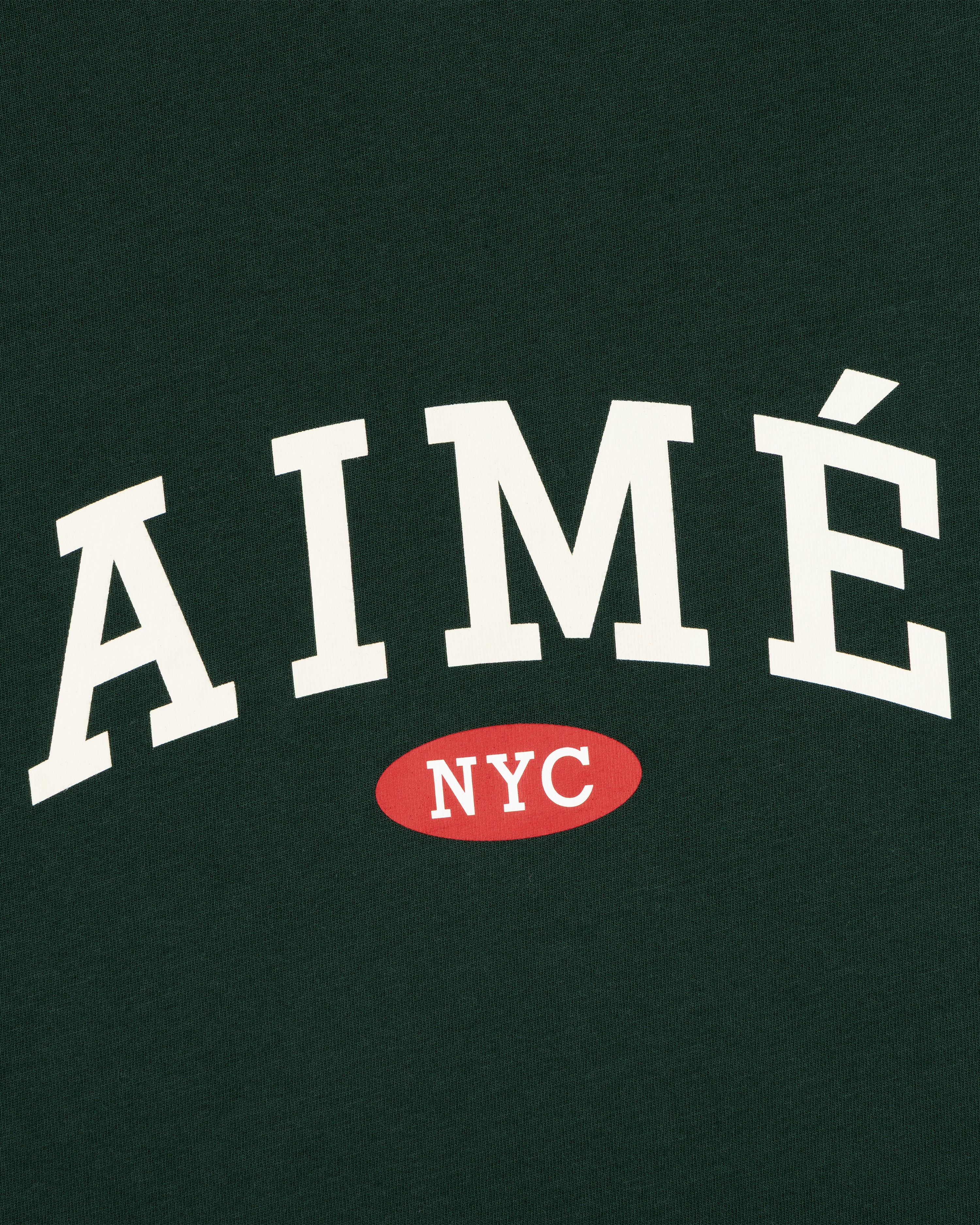 aim-leon-dore-souvenir-tee-t-shirt-gr-n-boxy-fit image 3