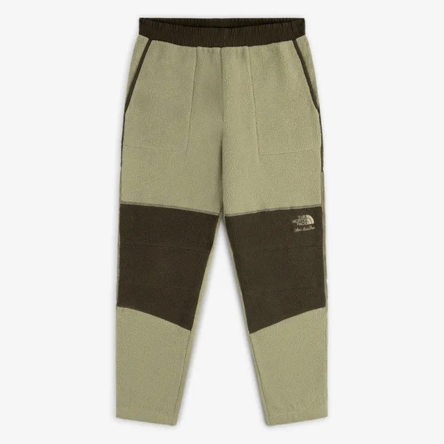 aim-leon-dore-the-north-face-denali-fleece-pant-gr-n image 1