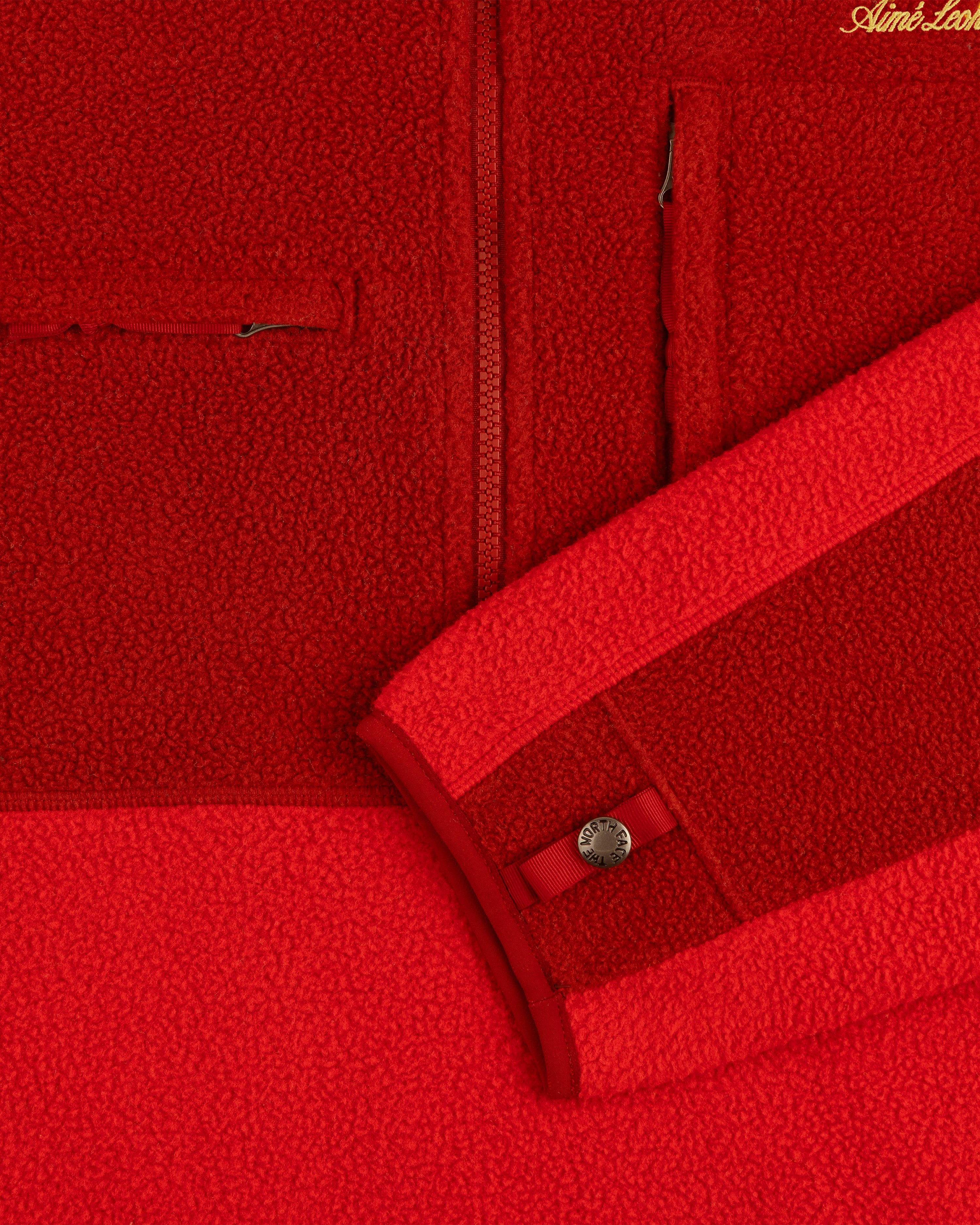 aim-leon-dore-x-the-north-face-95-denali-half-zip-fleece-pullover-rot image 5