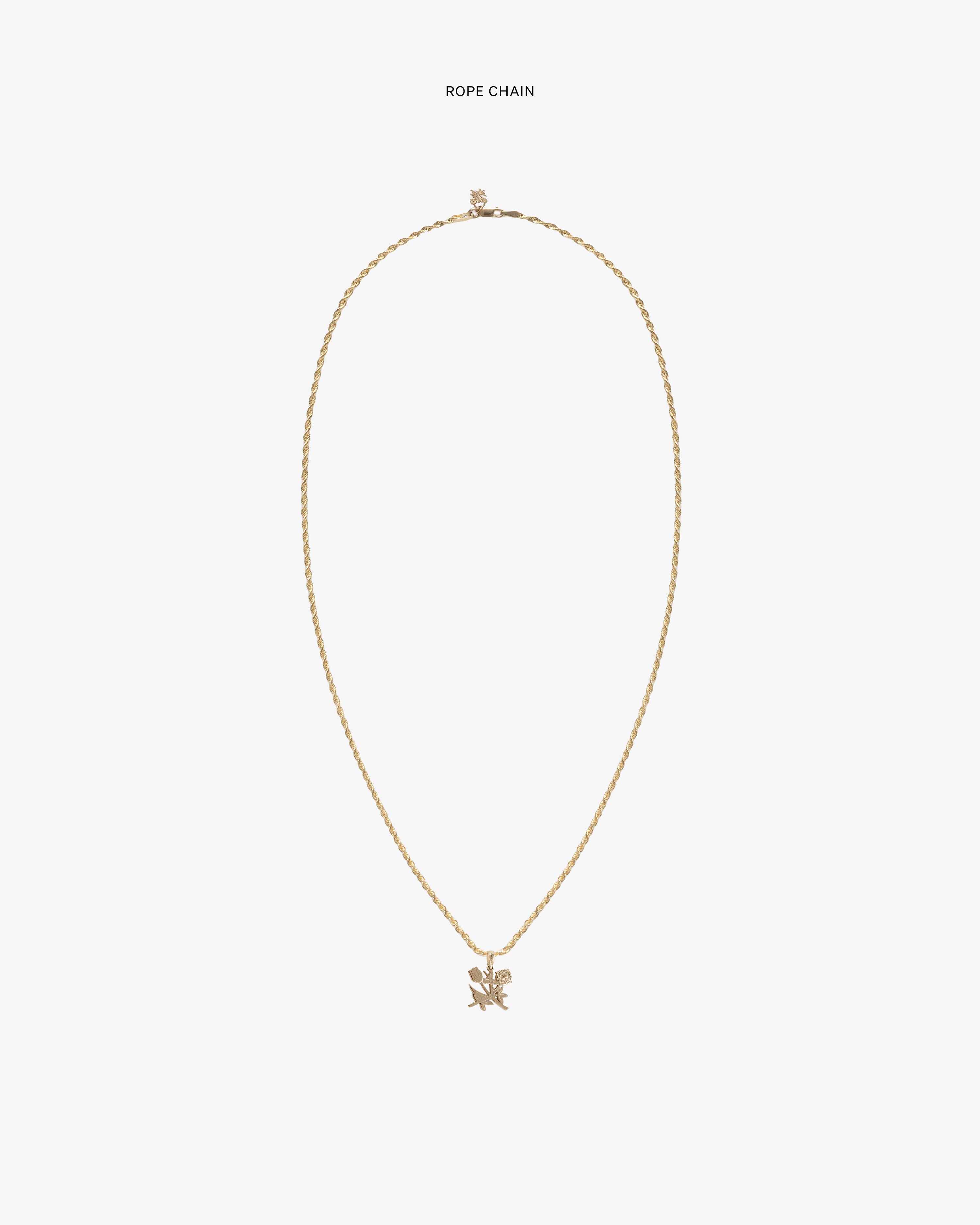 aim-leon-dore-14kt-gold-queens-crest-pendant-anh-nger image 4