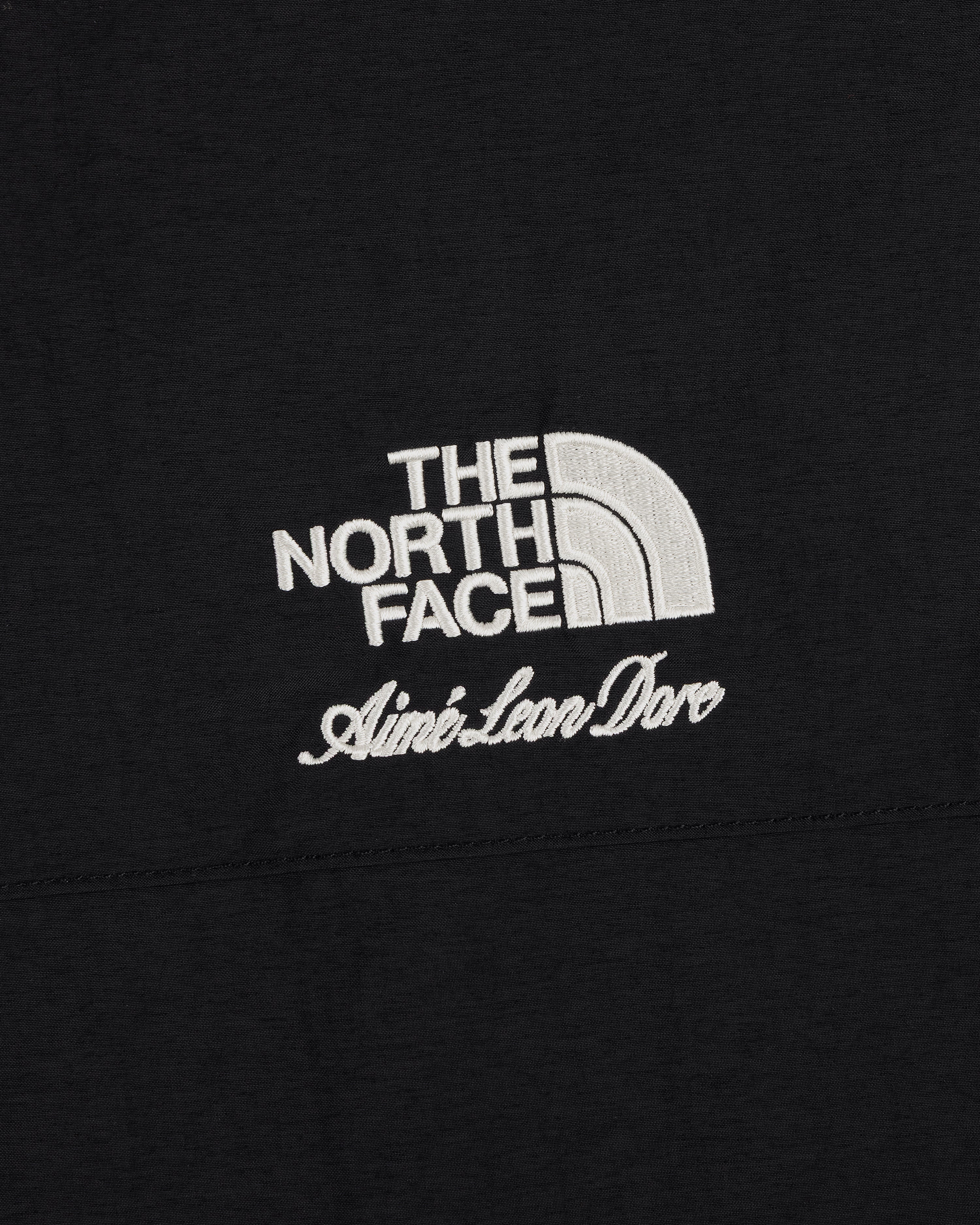 aim-leon-dore-x-the-north-face-nylon-denali-jacke-schwarz image 4