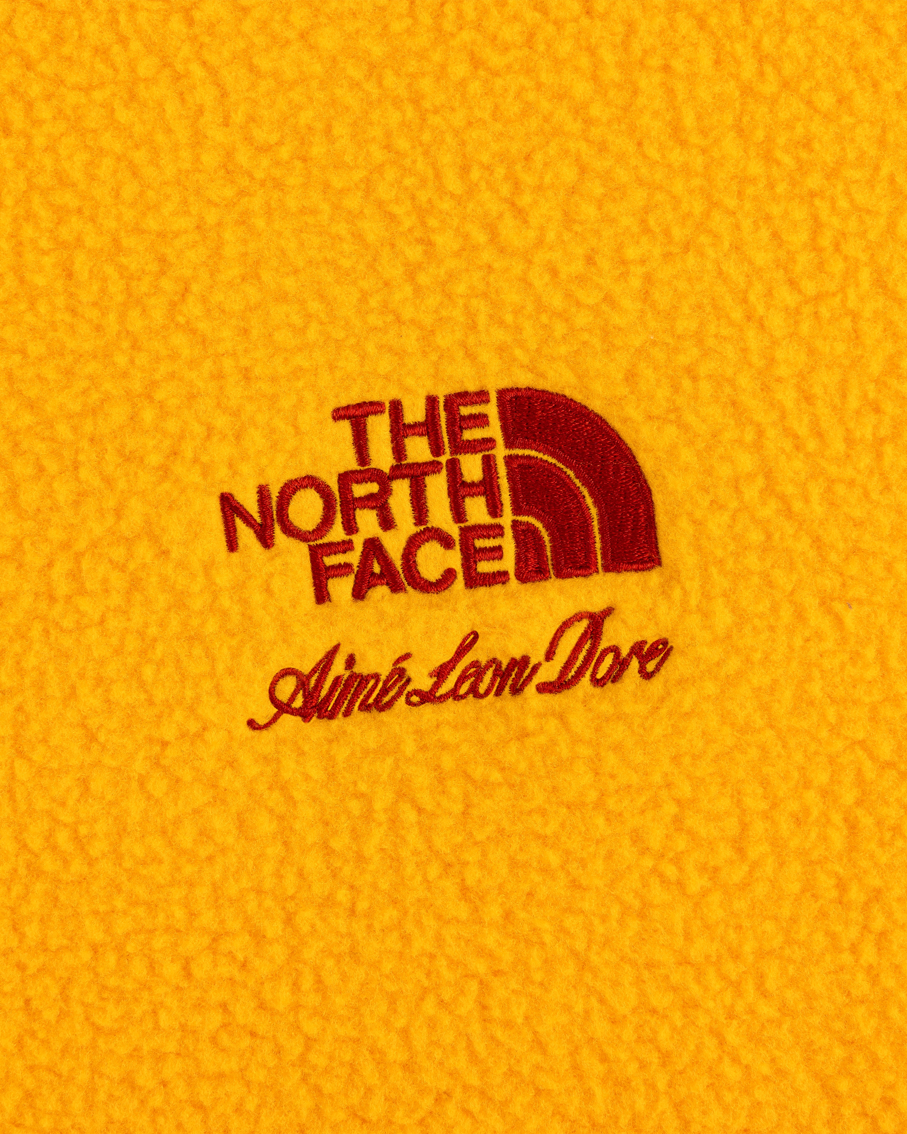 aim-leon-dore-x-the-north-face-fleece-rugby-gold image 4