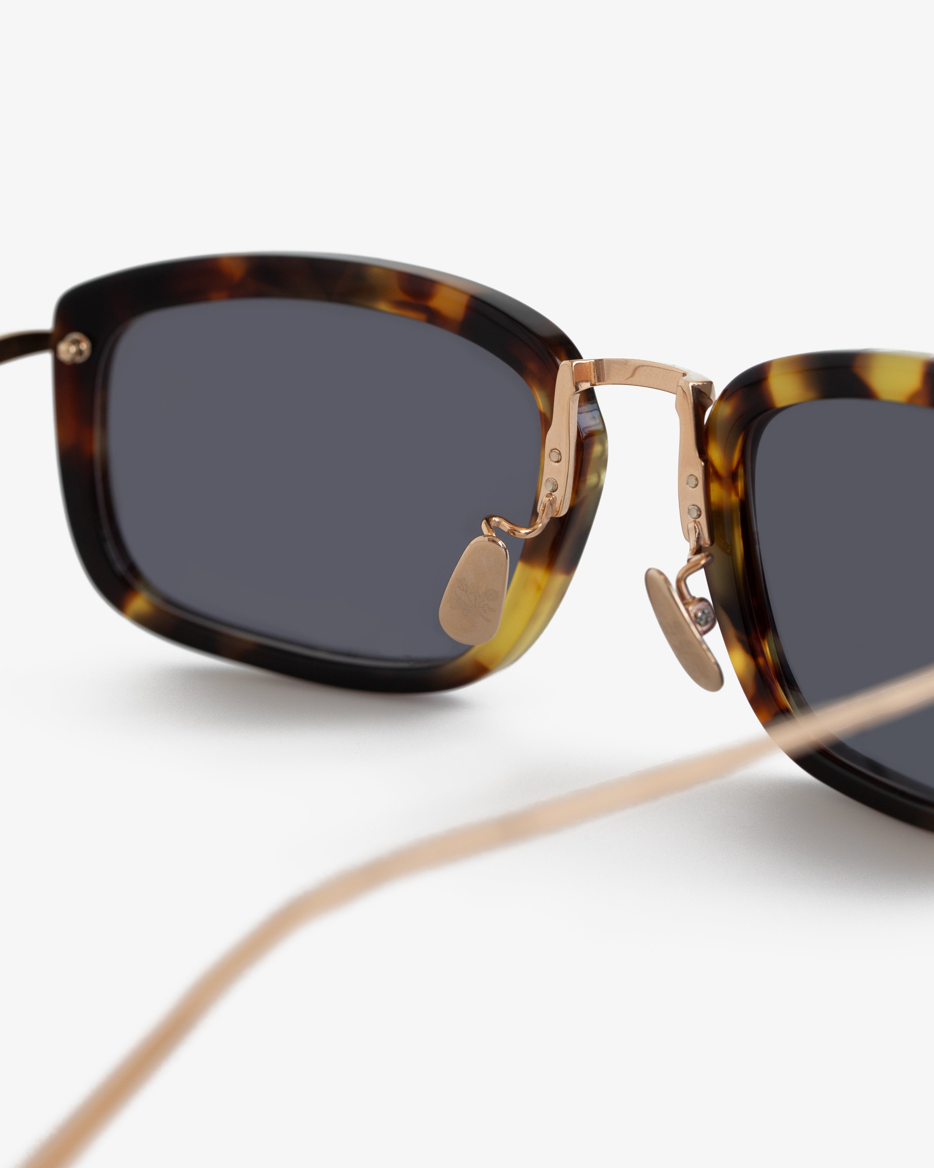 aim-leon-dore-ace-sunglasses-tortoiseshell-titan image 5