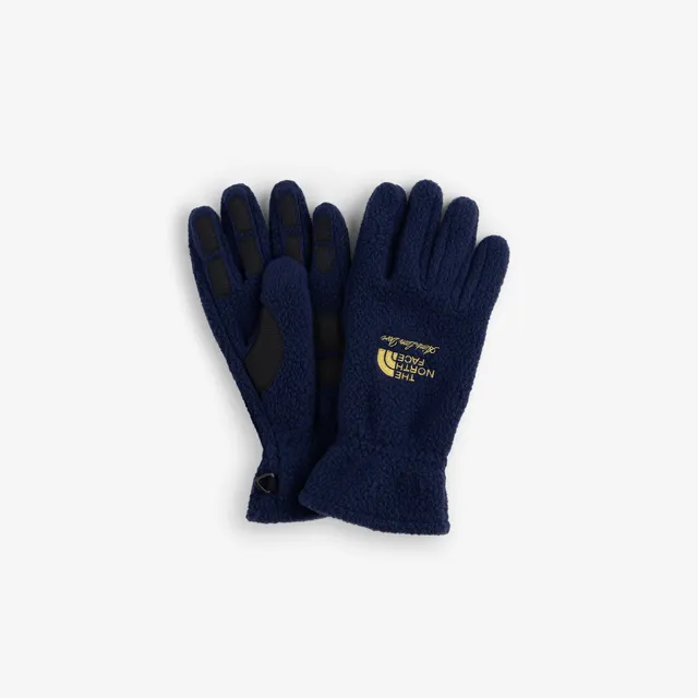 aim-leon-dore-x-the-north-face-fleece-handschuhe-navy-windstopper image 1