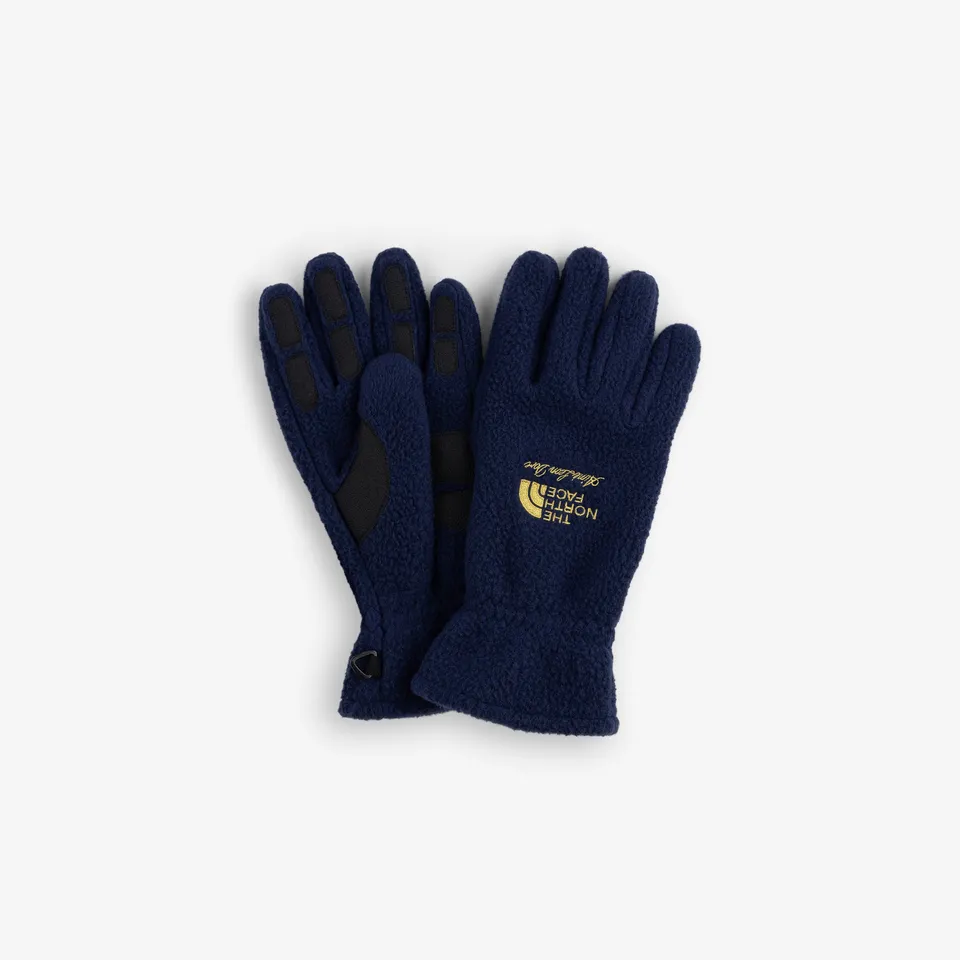 aim-leon-dore-x-the-north-face-fleece-handschuhe-navy-windstopper image 1