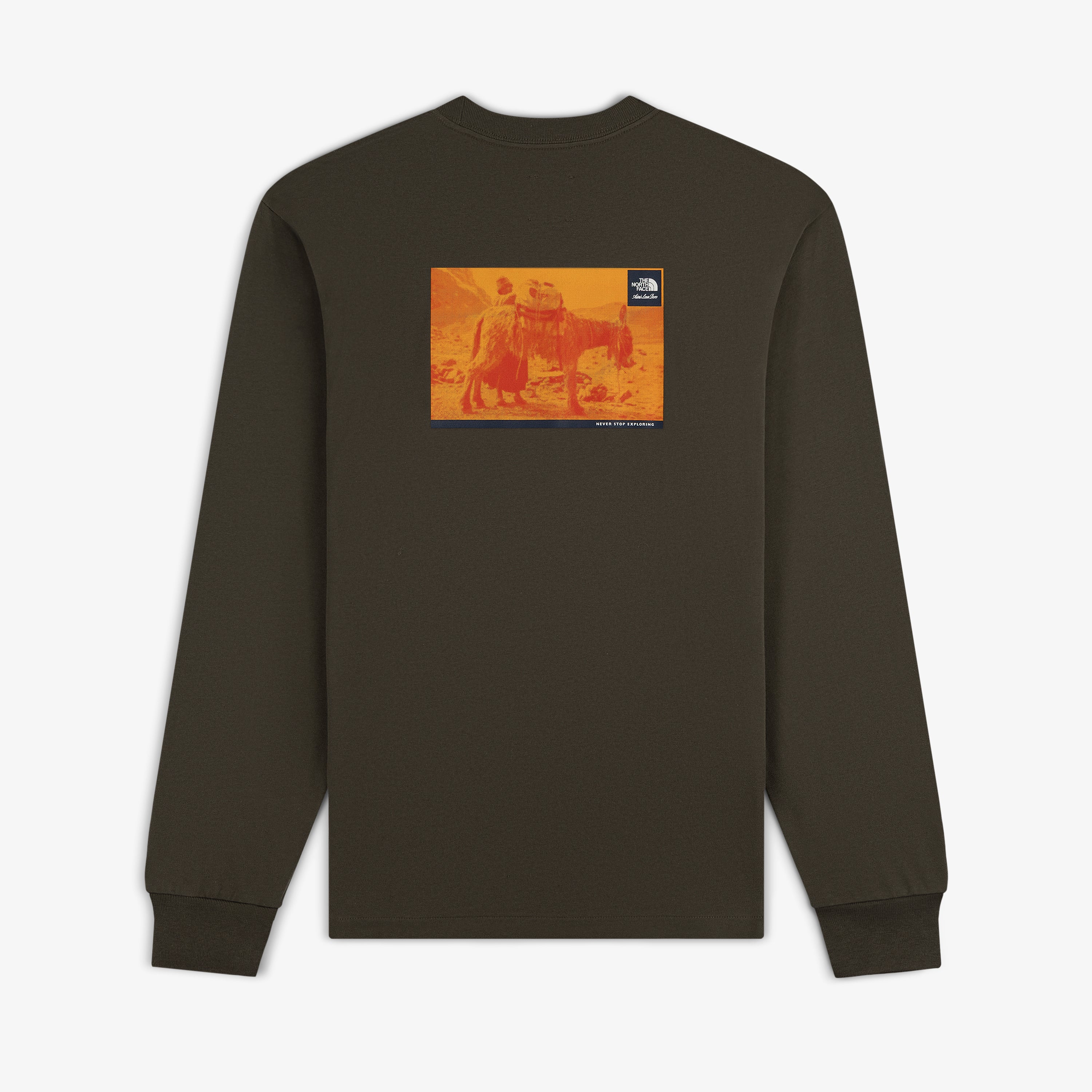 aim-leon-dore-x-the-north-face-explorer-longsleeve-olive image 1