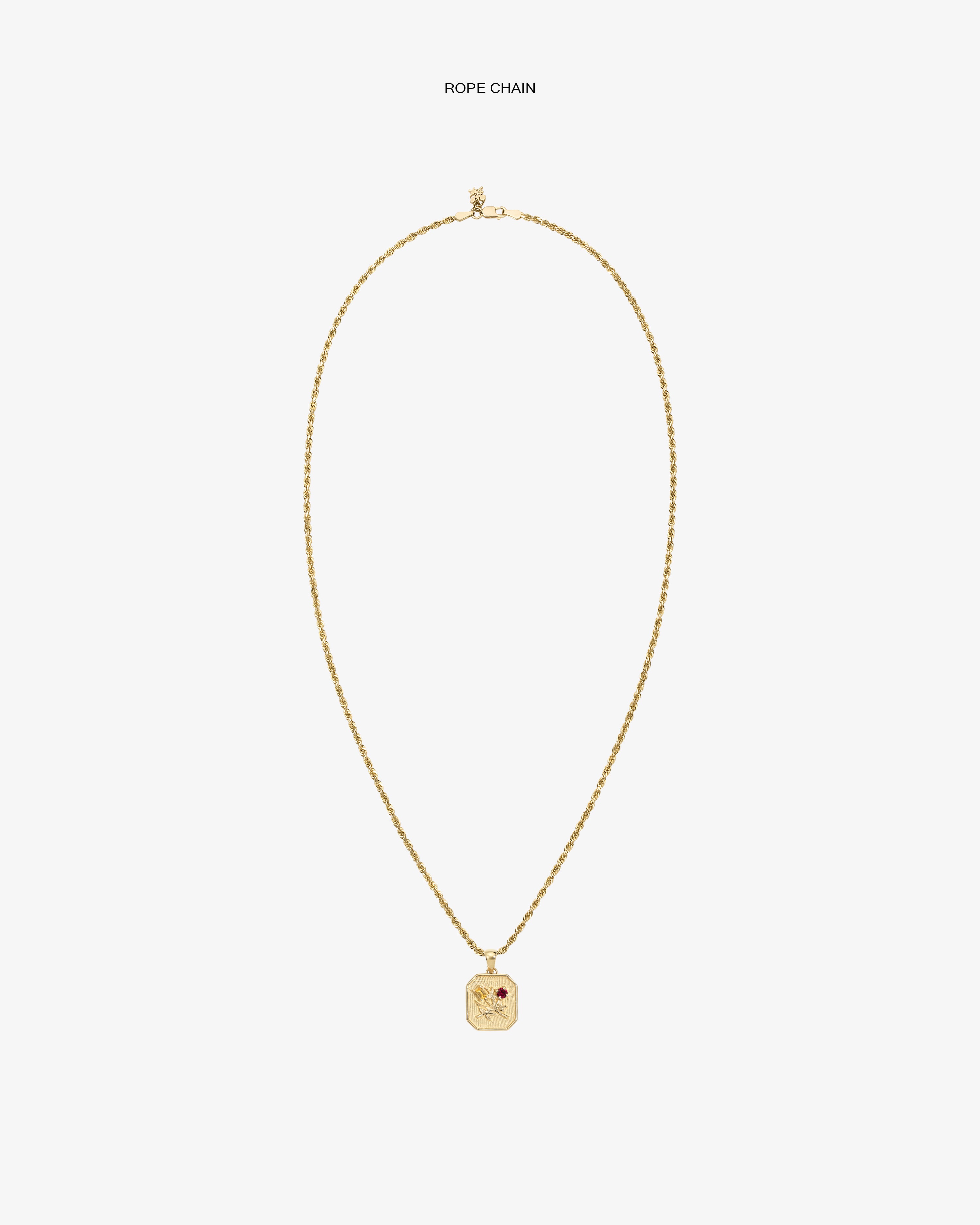 aim-leon-dore-queens-crest-relief-anh-nger-14kt-gold image 5