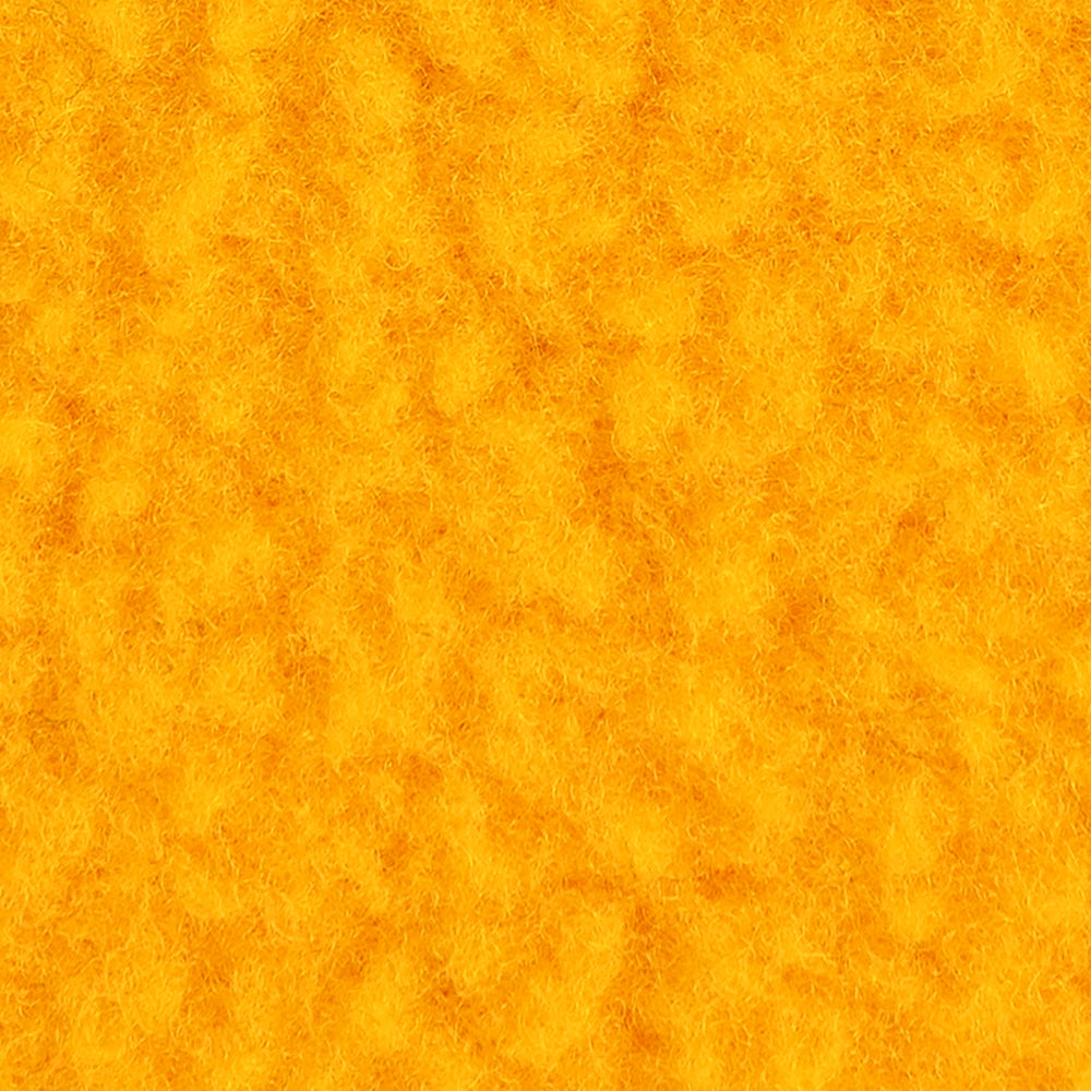aim-leon-dore-x-the-north-face-fleece-rugby-gold image 6