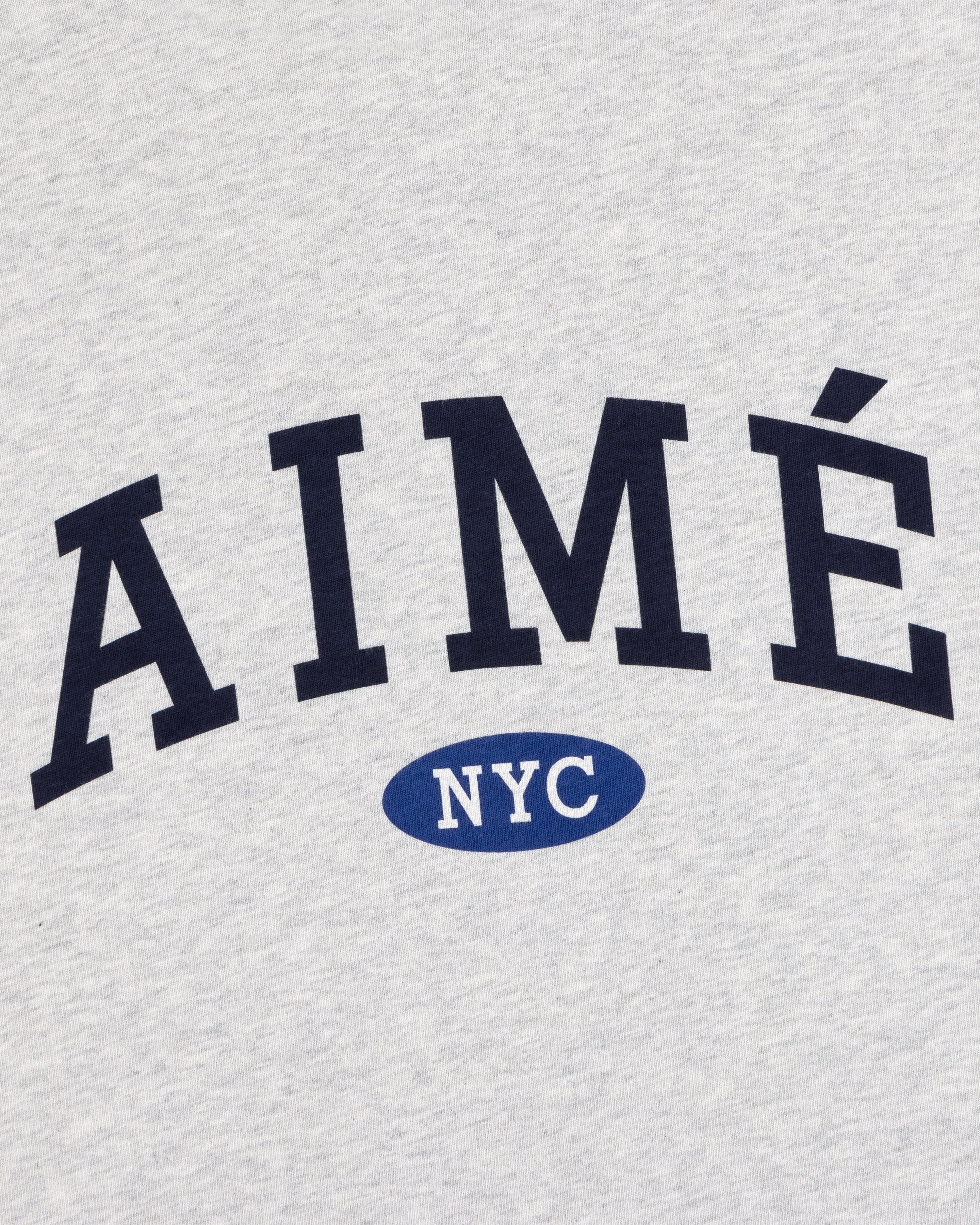 aim-leon-dore-aim-souvenir-t-shirt-grau-boxy-fit image 3