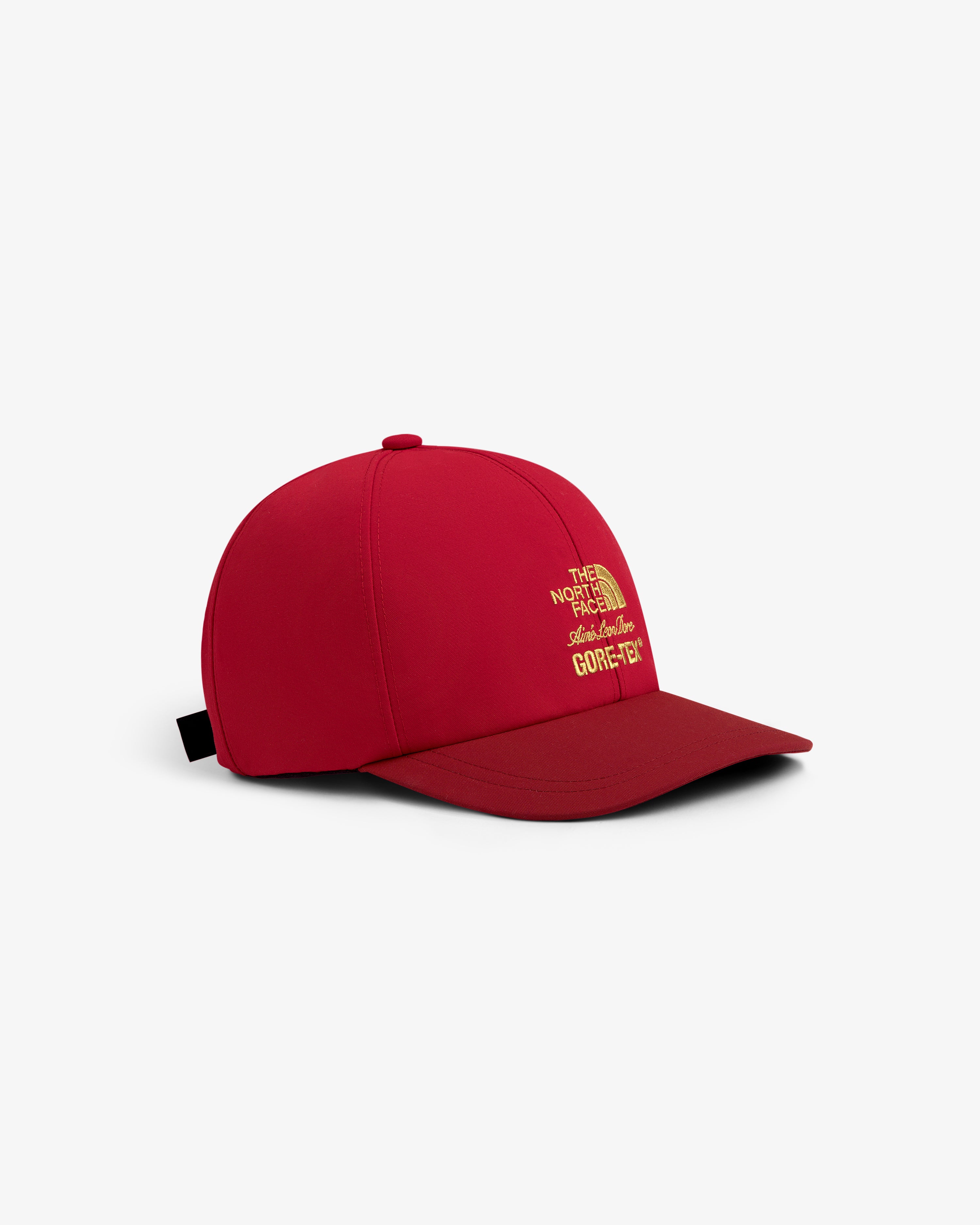 ald-the-north-face-gore-tex-hat-5-panel-cap-rot image 4