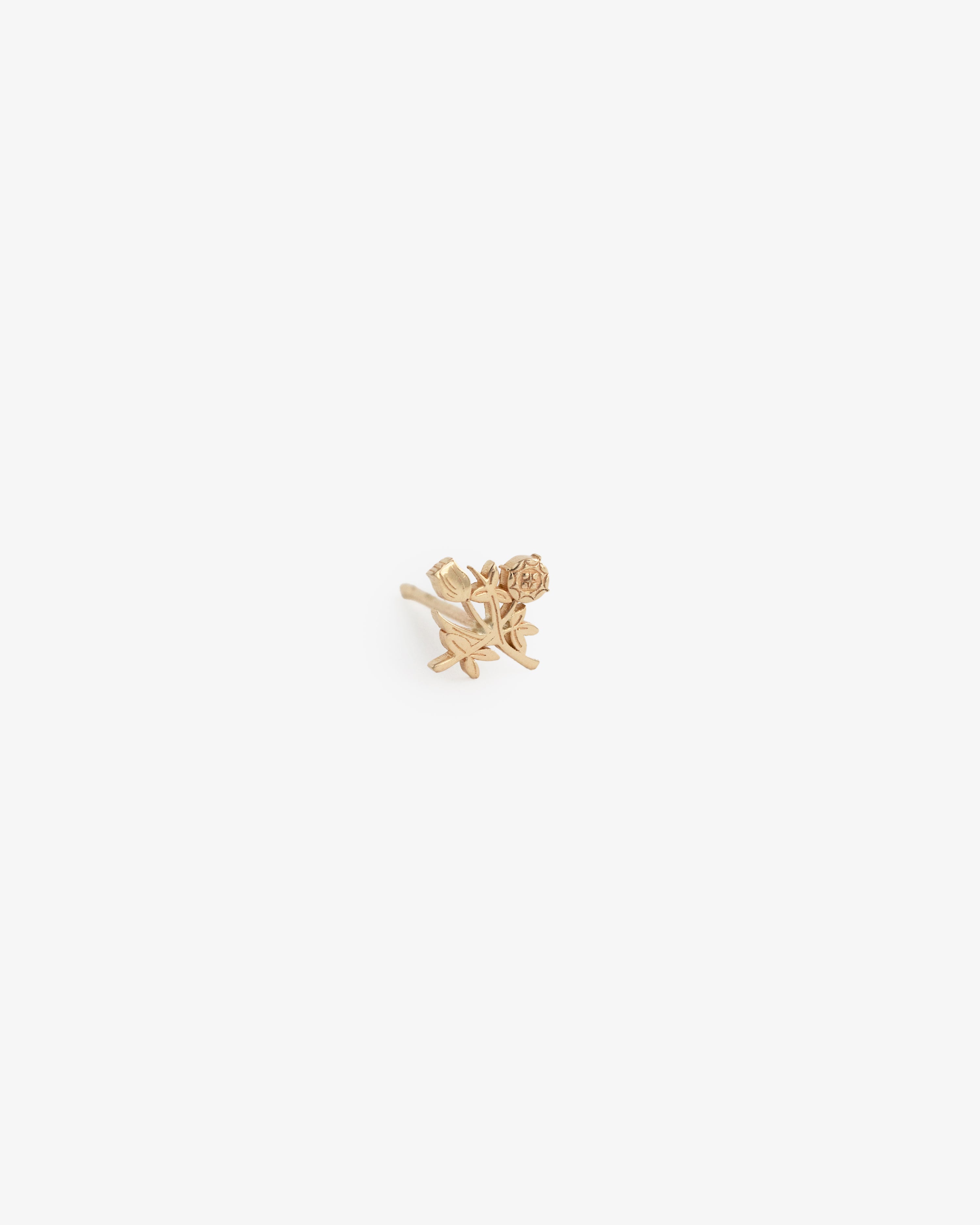 aim-leon-dore-14kt-gold-crest-ohrring image 2