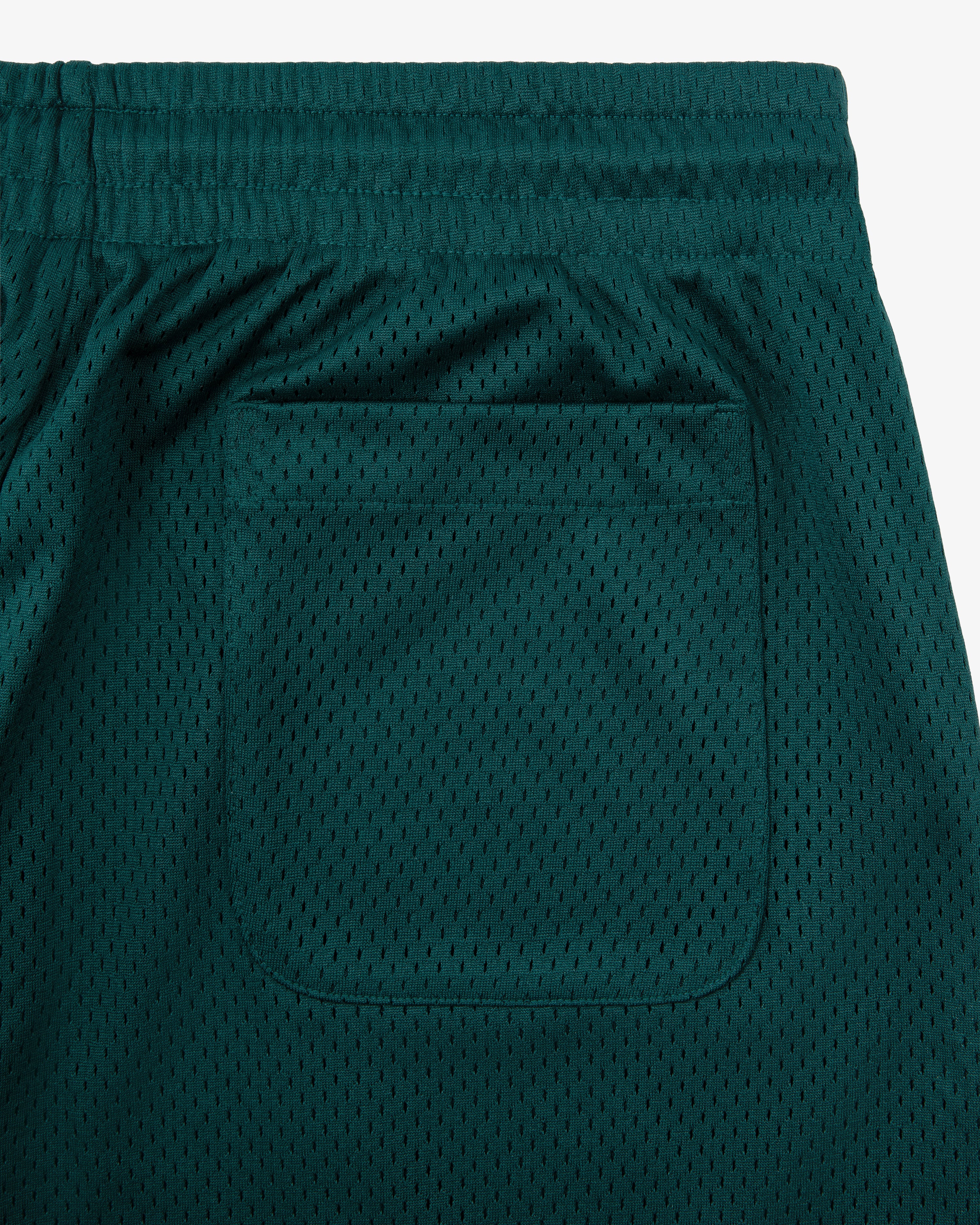aim-leon-dore-logo-gym-short-gr-n-mesh image 5