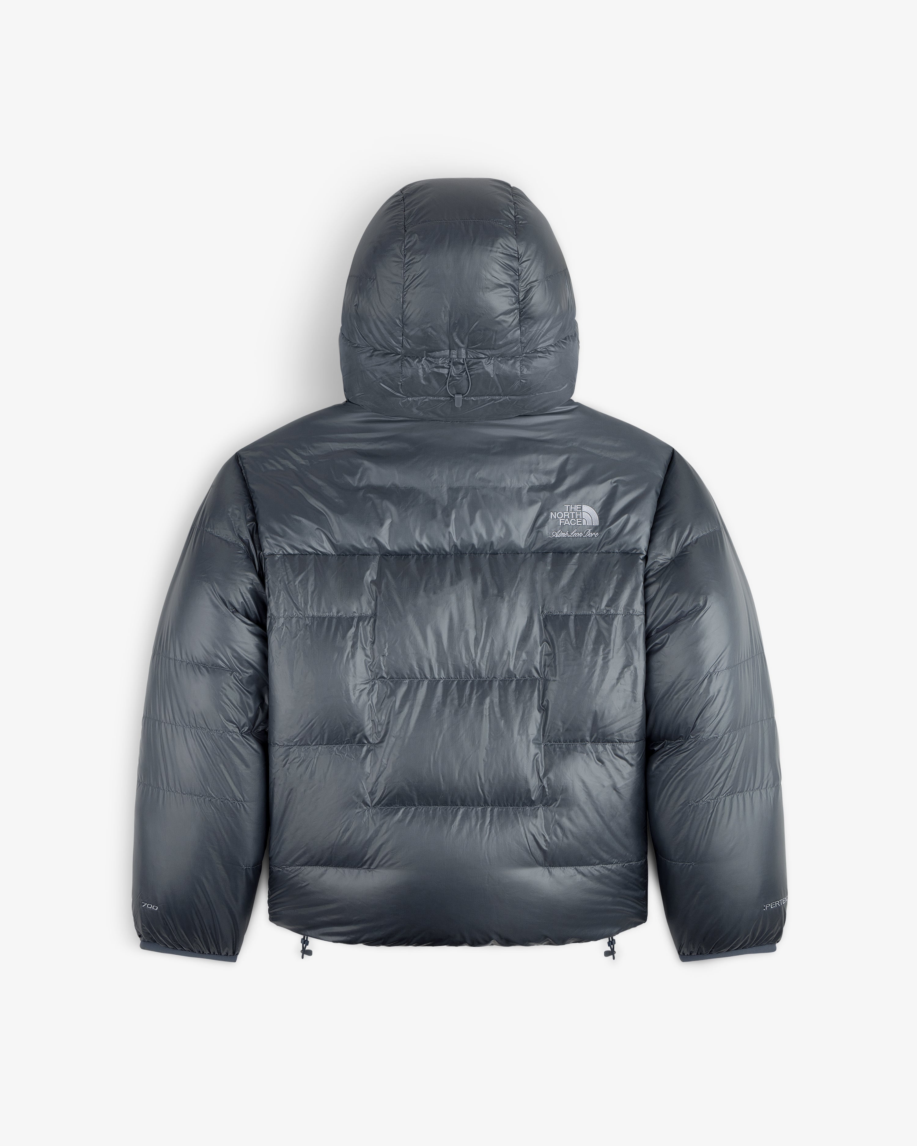 ald-the-north-face-reversible-pertex-nuptse-jacket-silber image 4