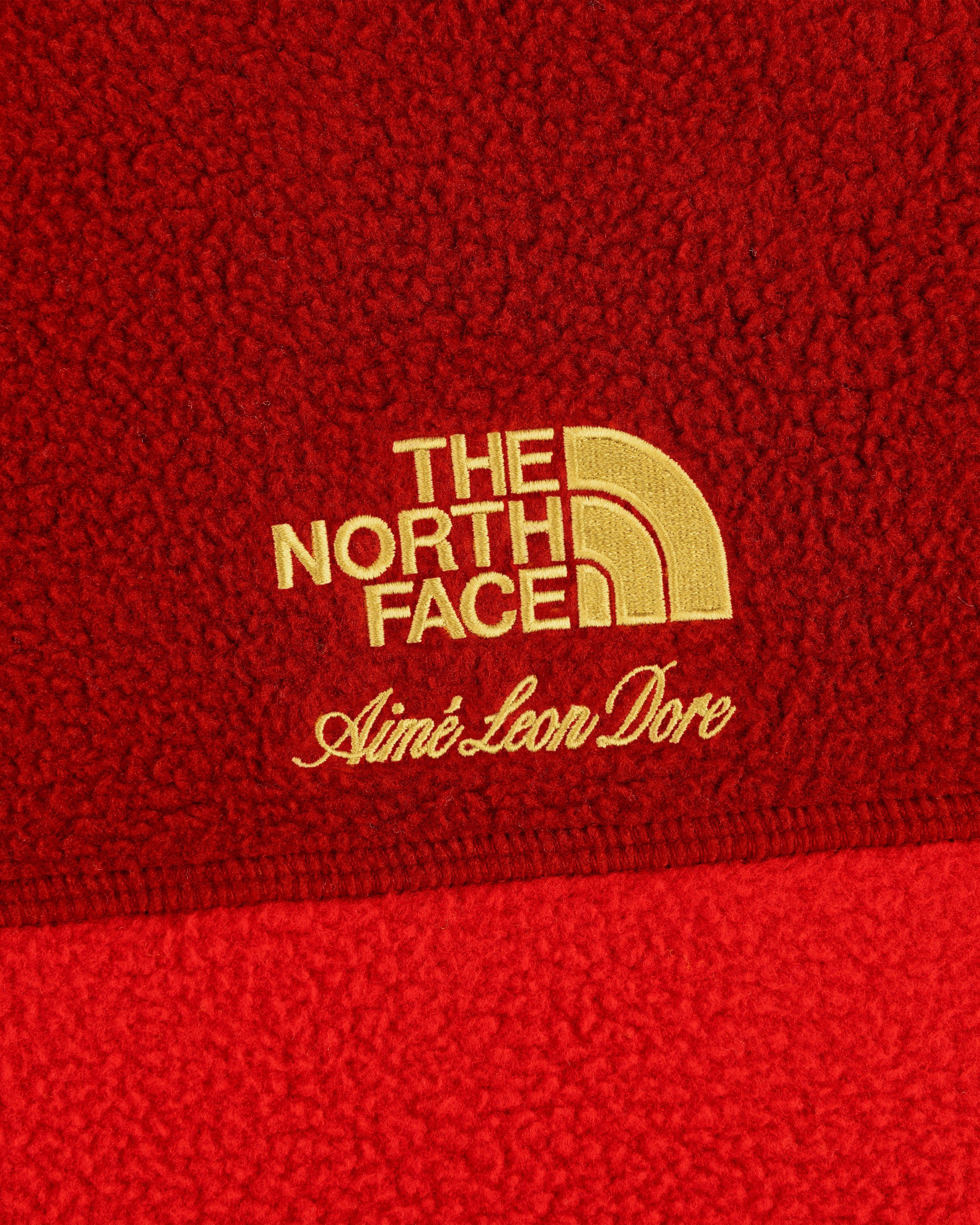 aim-leon-dore-x-the-north-face-95-denali-half-zip-fleece-pullover-rot image 6